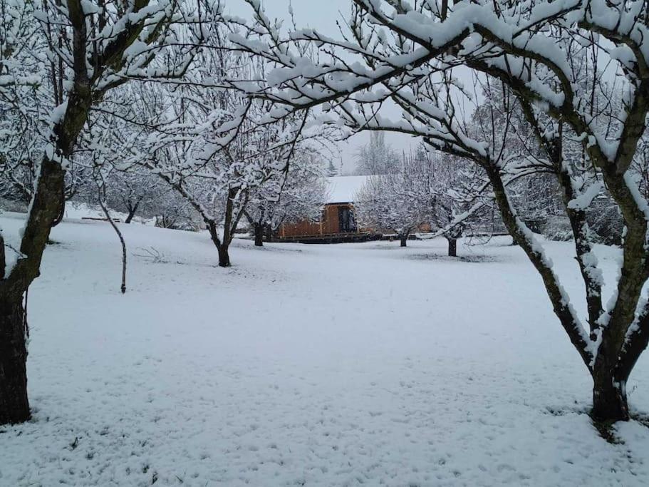 Nica Wood Villa Sremska Kamenica Bagian luar foto
