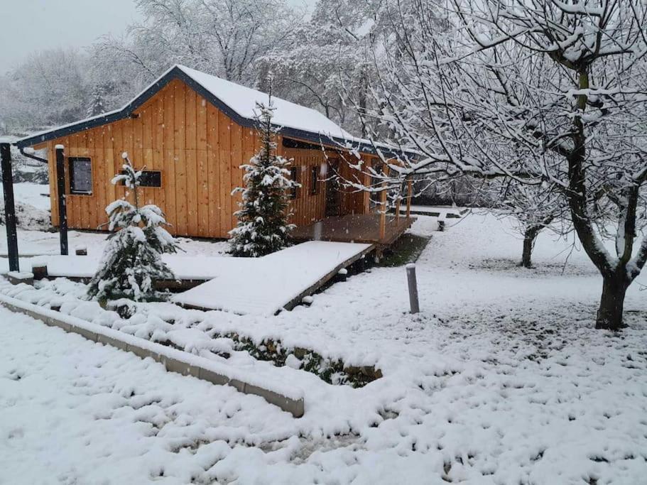 Nica Wood Villa Sremska Kamenica Bagian luar foto