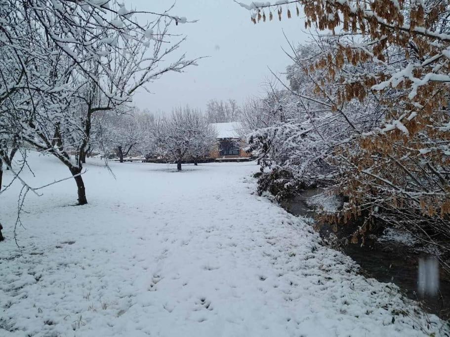Nica Wood Villa Sremska Kamenica Bagian luar foto