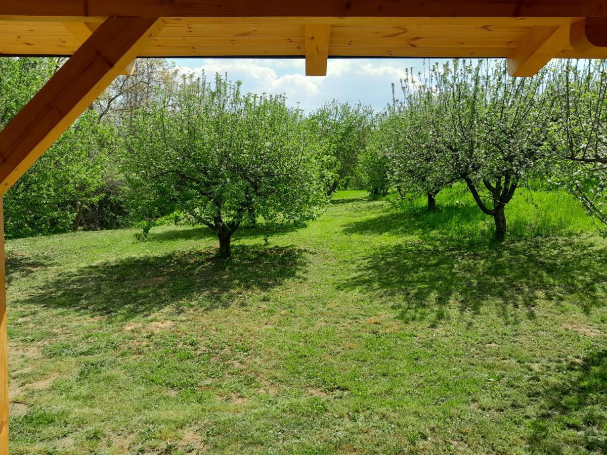 Nica Wood Villa Sremska Kamenica Bagian luar foto