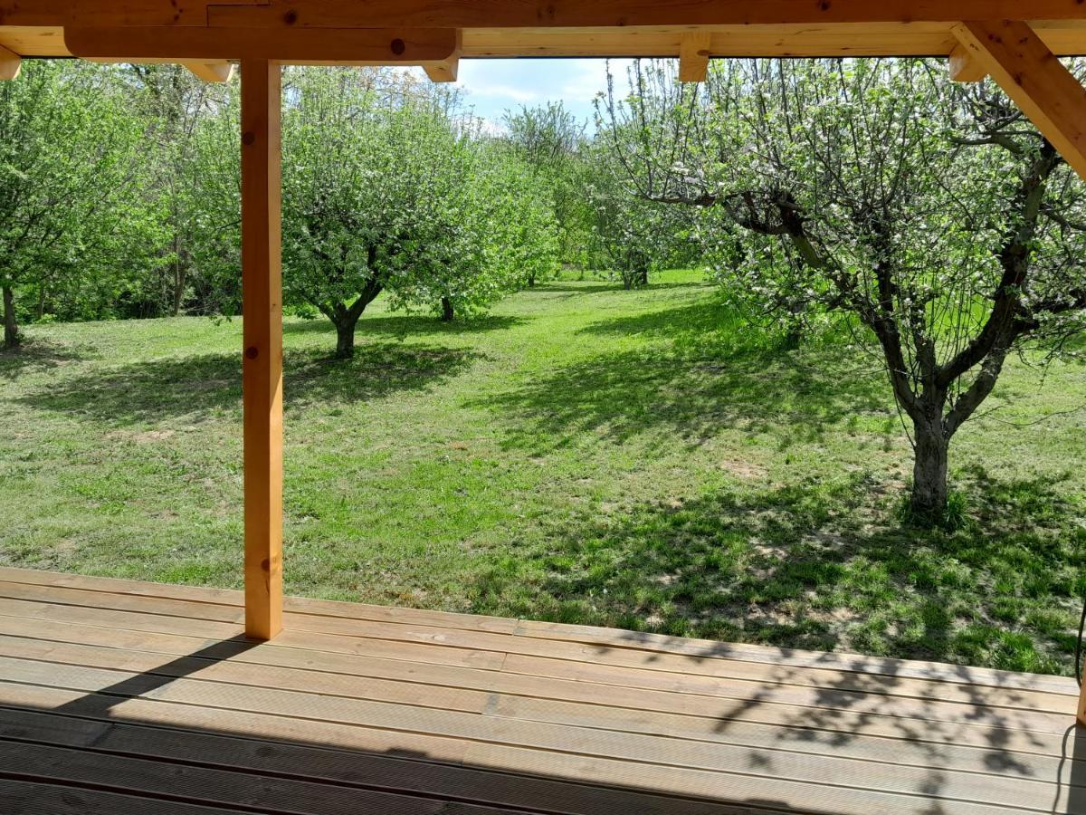 Nica Wood Villa Sremska Kamenica Bagian luar foto