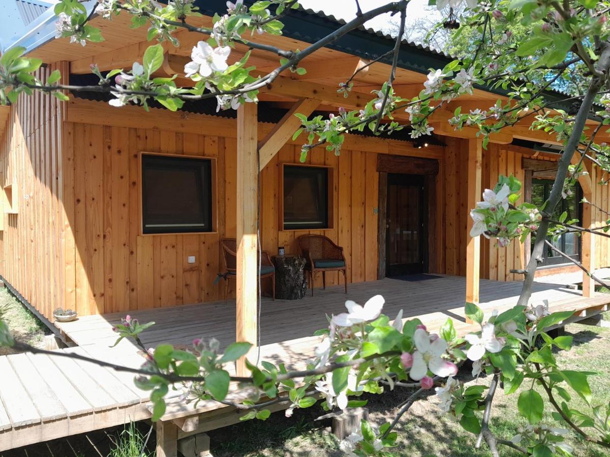 Nica Wood Villa Sremska Kamenica Bagian luar foto