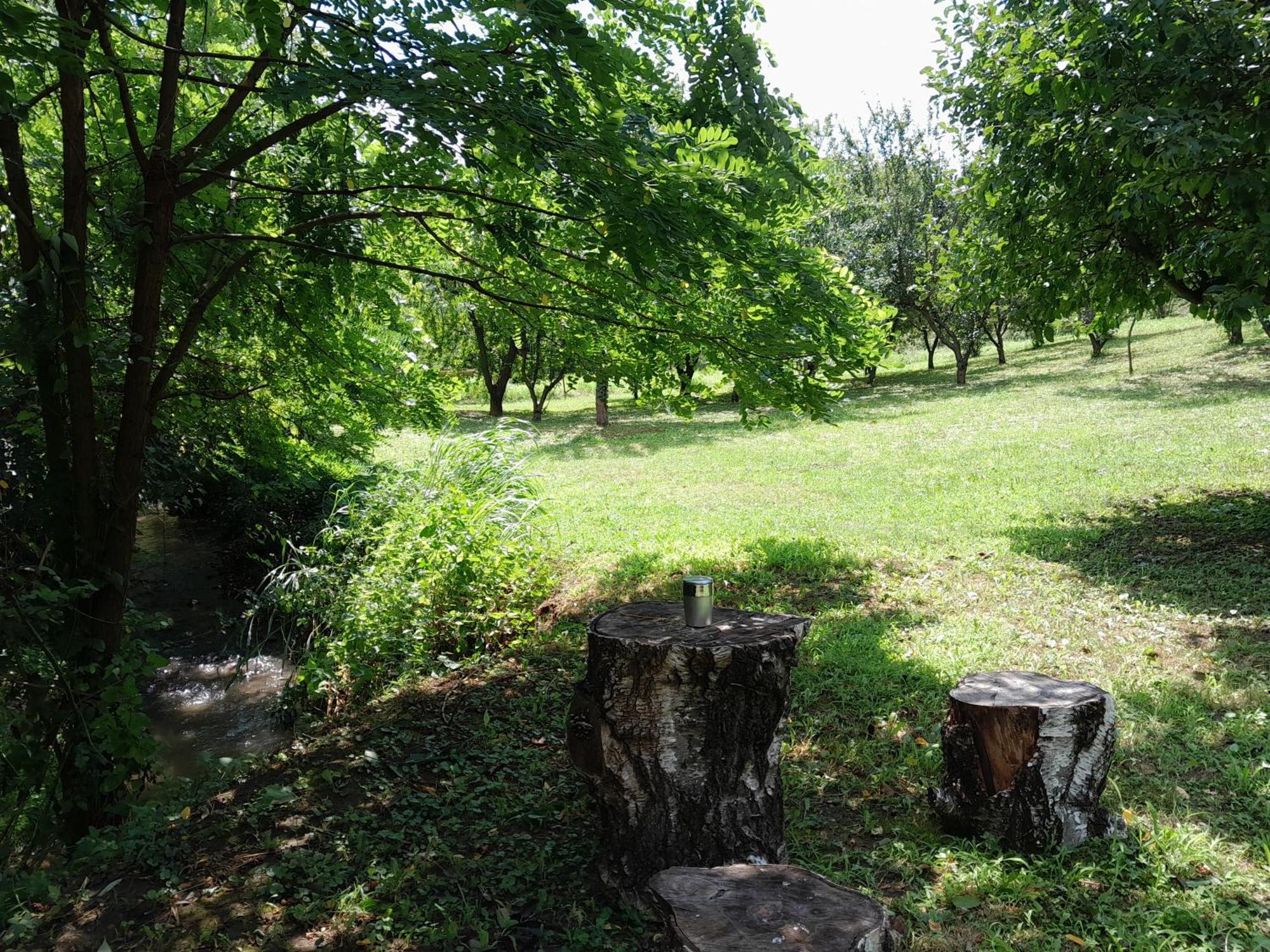Nica Wood Villa Sremska Kamenica Bagian luar foto