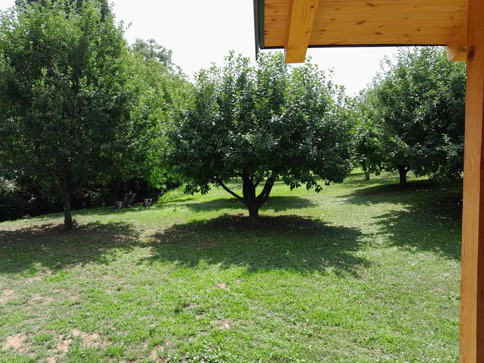 Nica Wood Villa Sremska Kamenica Bagian luar foto