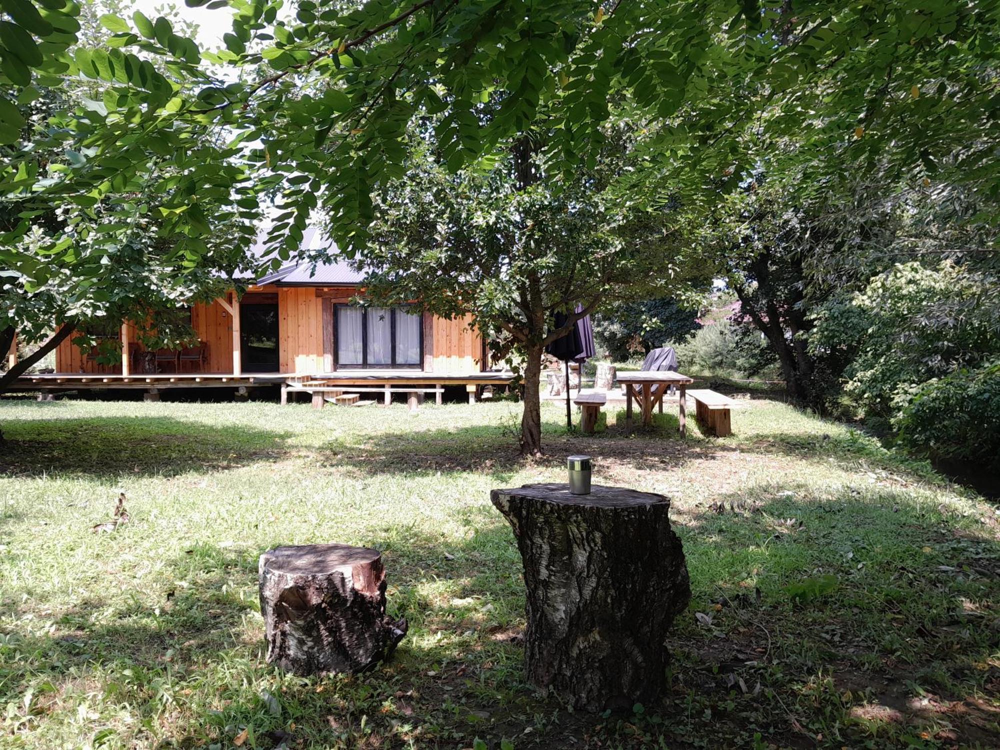 Nica Wood Villa Sremska Kamenica Bagian luar foto